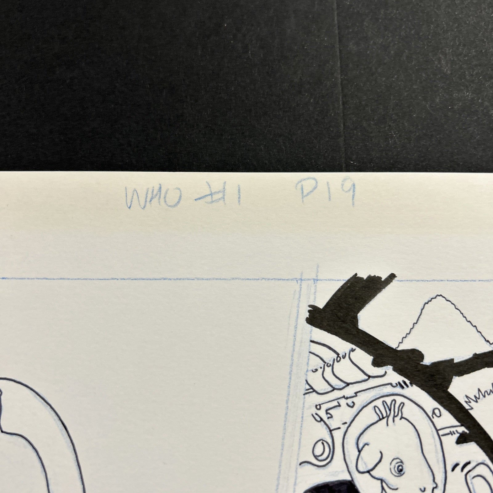 45518284