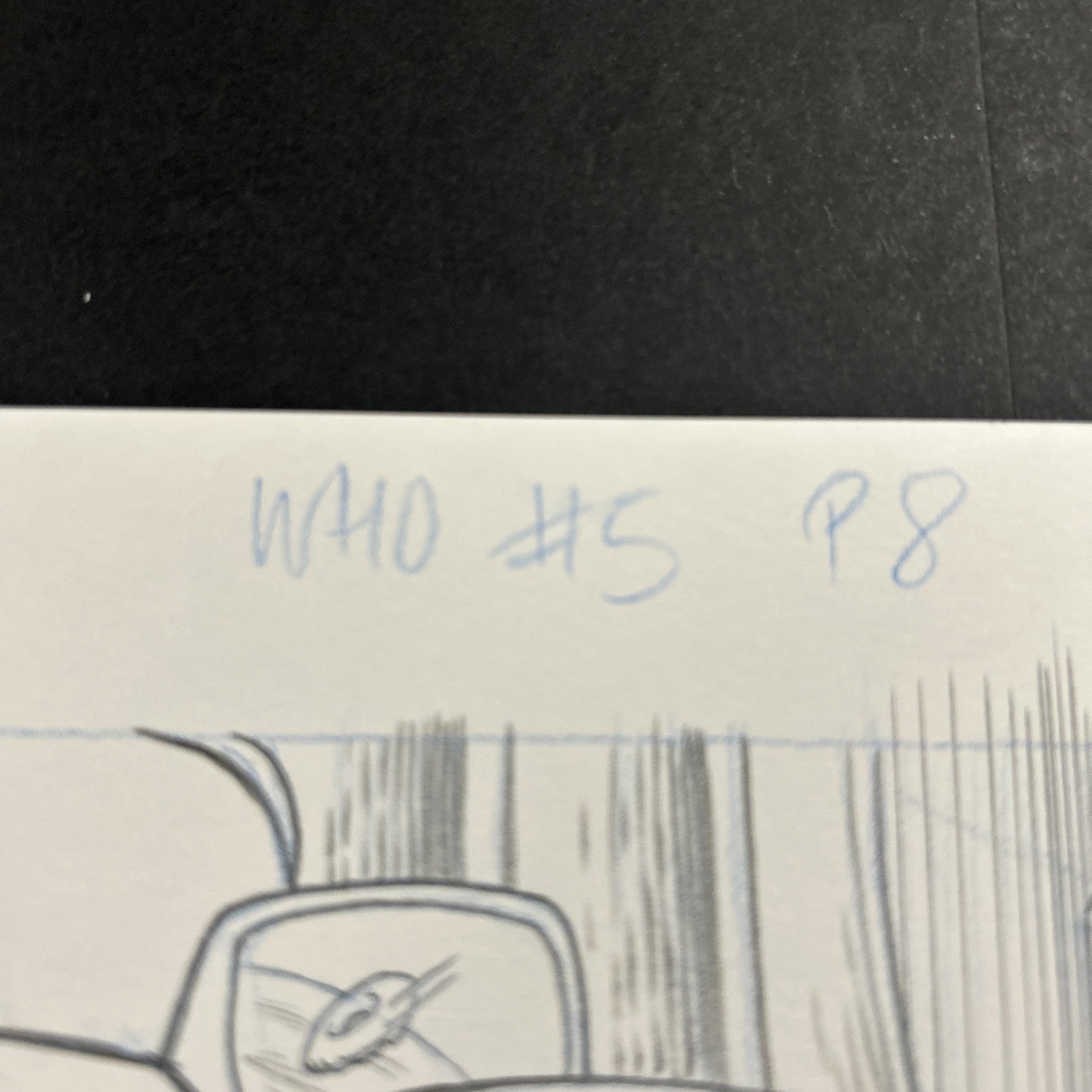 45518204