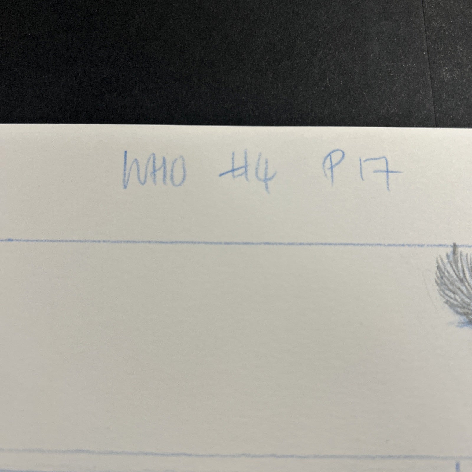 45518121