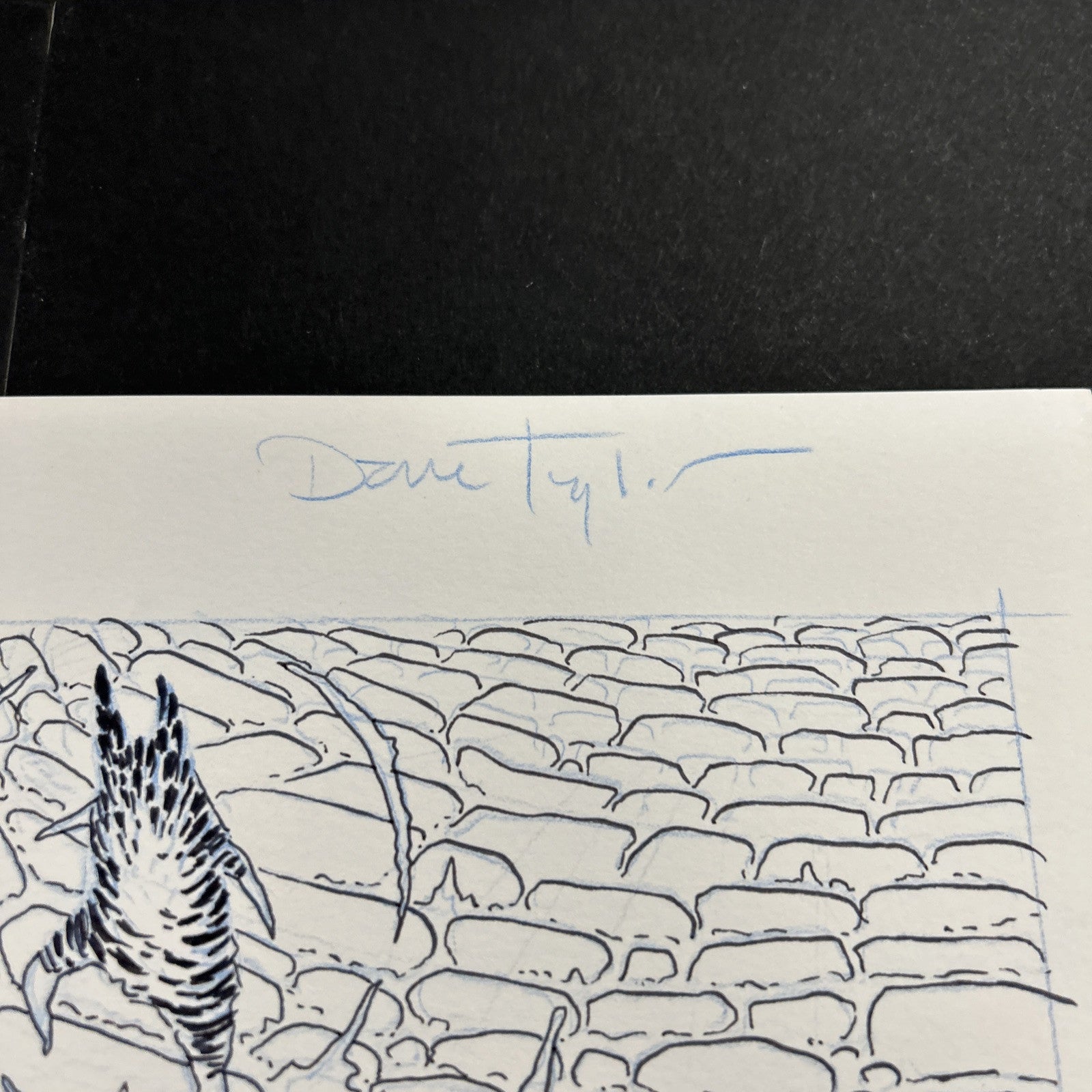 45518193