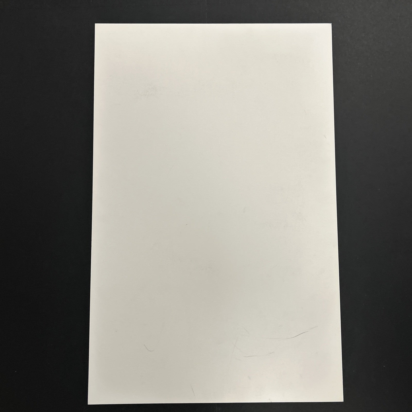 45518036