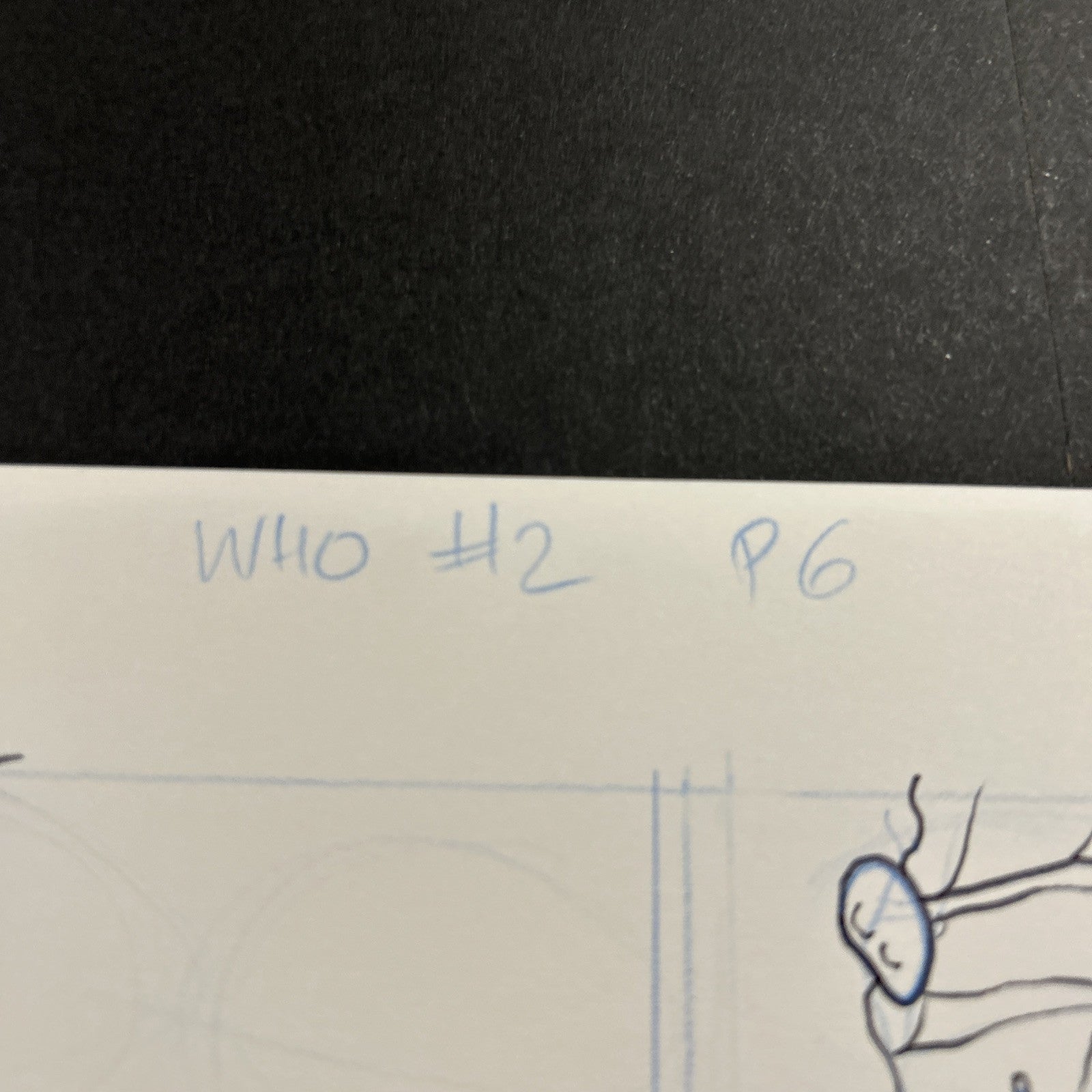 45518022