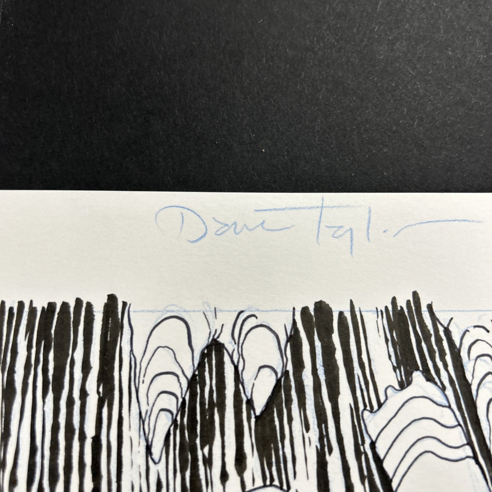45518253