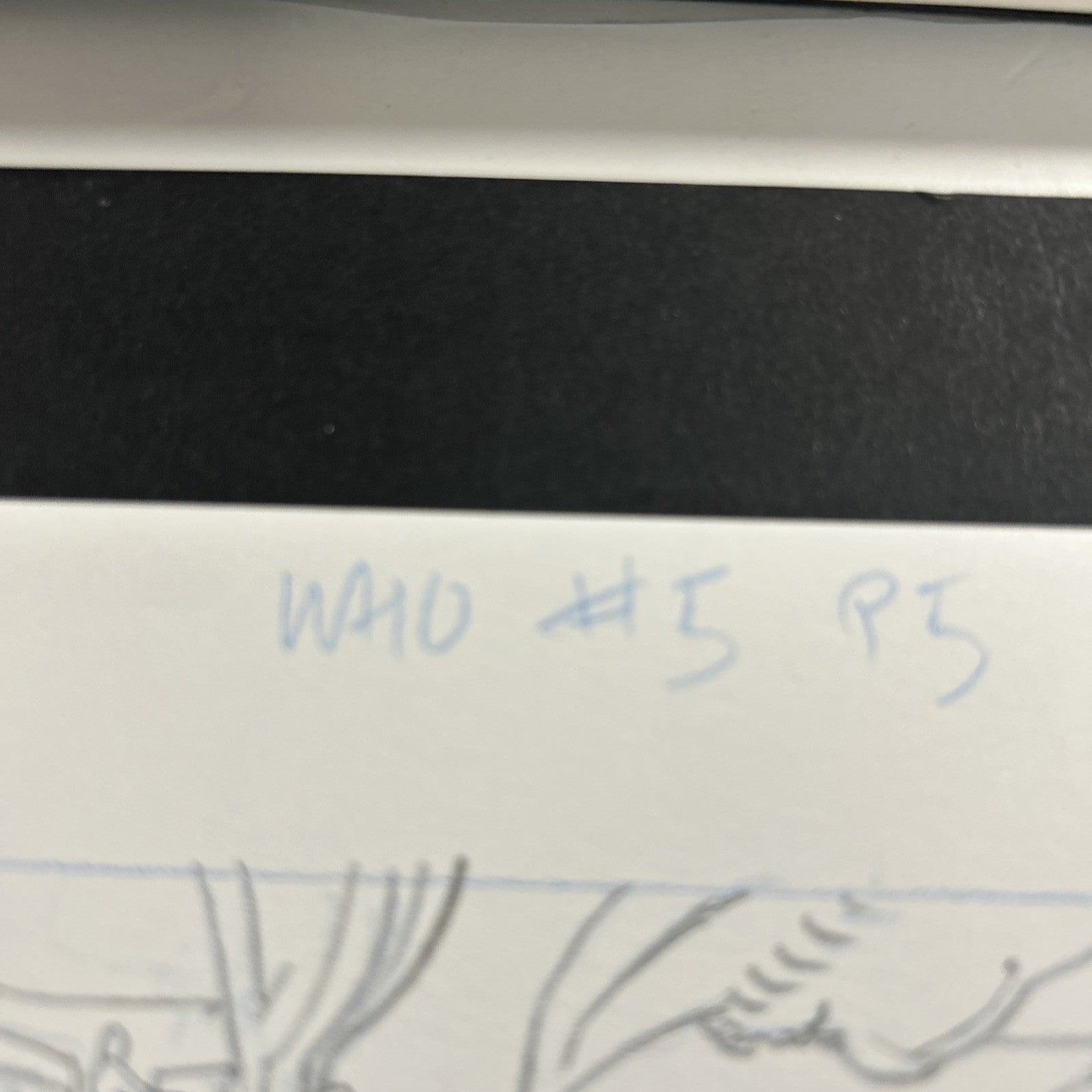 45518239