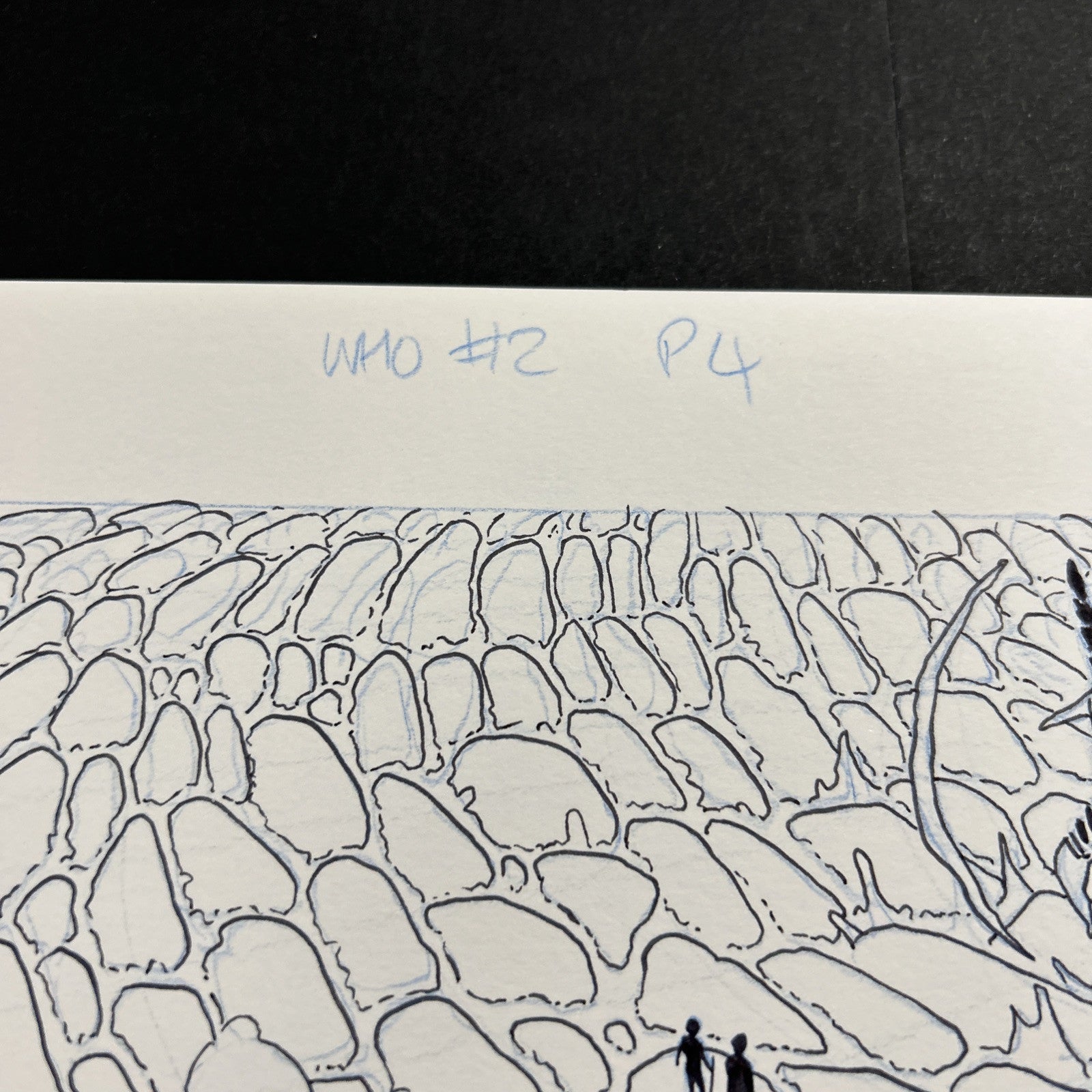45518193