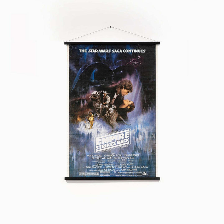 Star Wars: The Empire Strikes Back Episode V - Movie Poster 1995 re-release