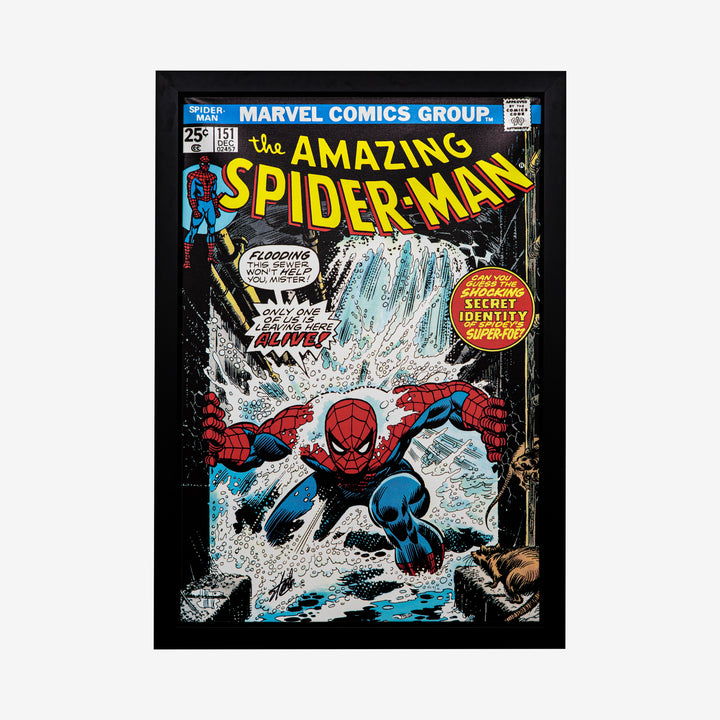 Stan Lee Signed: Amazing Spider-Man #151 Box Canvas Framed HC-9/10