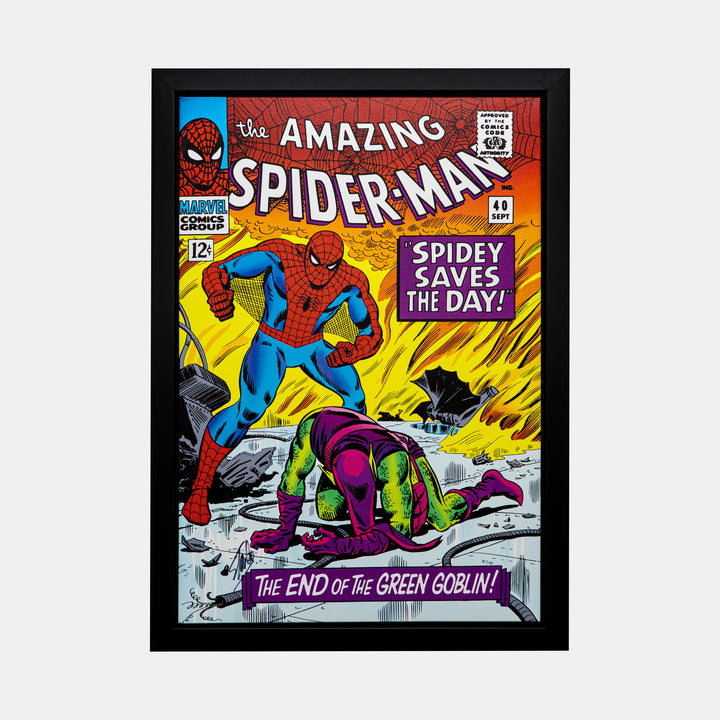 Stan Lee Signed: Amazing Spider-Man #40 Box Canvas Framed 81/195