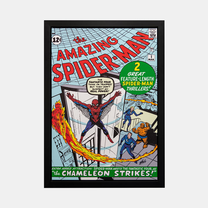 Stan Lee Signed: The Amazing Spider-Man #1 Spider-Man Meets The Fantastic Four! Box Canvas Framed - worldofsuperheroesuk